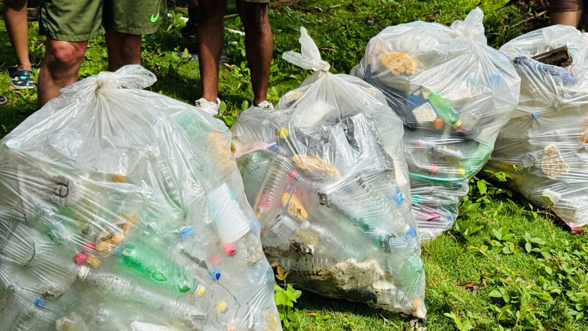 Adiós al plástico: MiAMBIENTE elimina su uso en áreas protegidas