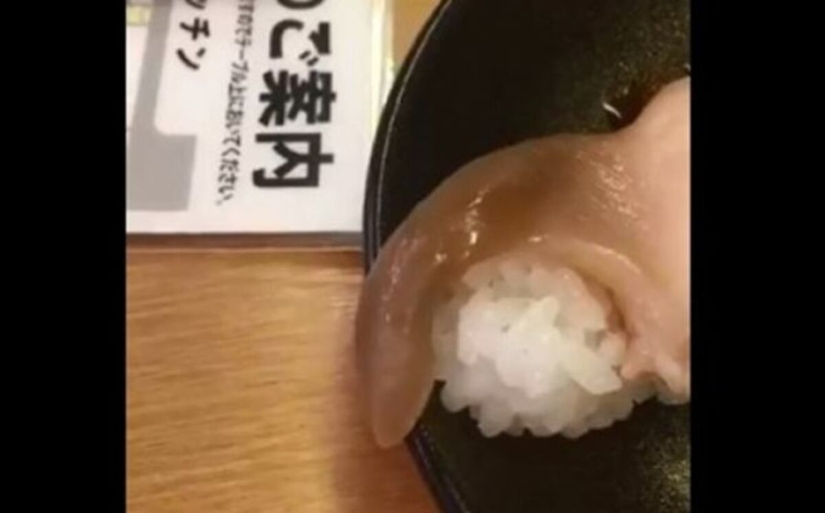 ¡Sorprendente! Sirven Sushi vivo en Japón