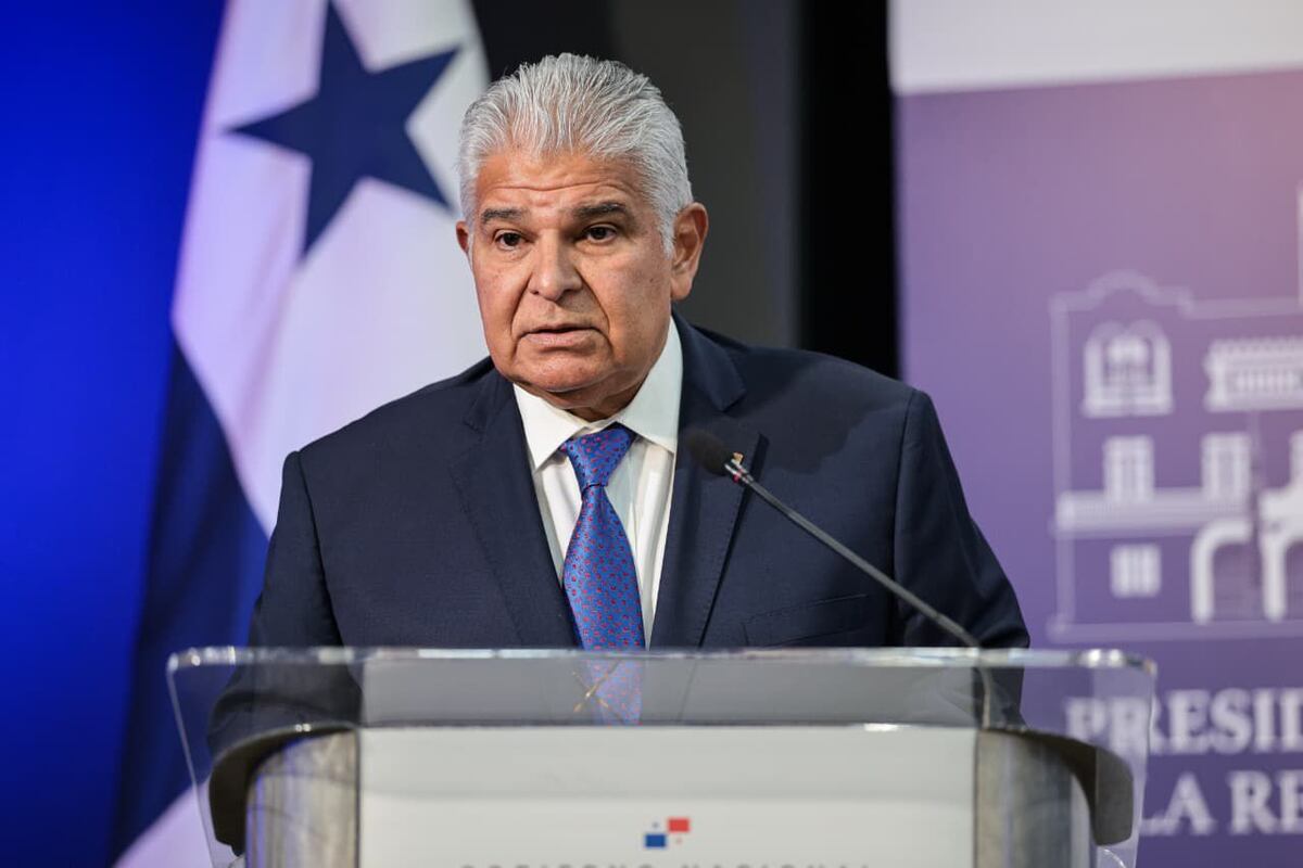 ‘La restricción del gasto también golpeó a la Biblioteca Nacional’, Mulino