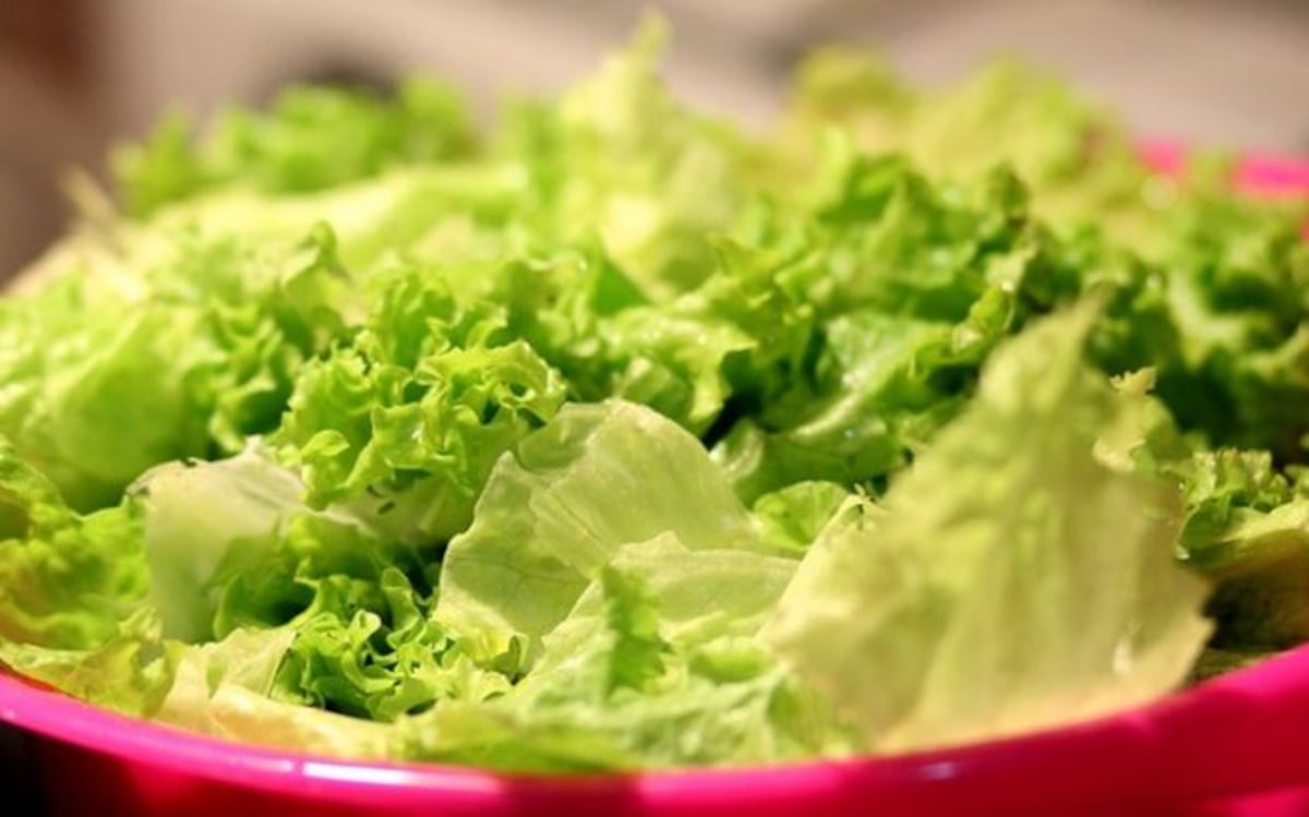 Piden evitar consumo de lechuga romana por brote de E.coli en EU
