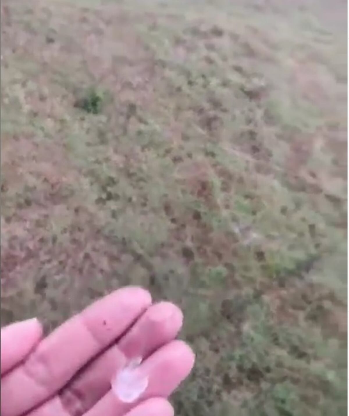 Cae granizo en varios sectores de Panamá Oeste. Annette Quinn se pronuncia. Video