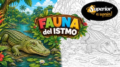 El cocodrilo aparece en ‘Fauna del Istmo’: Mi Diario trae una lámina para colorear y aprender