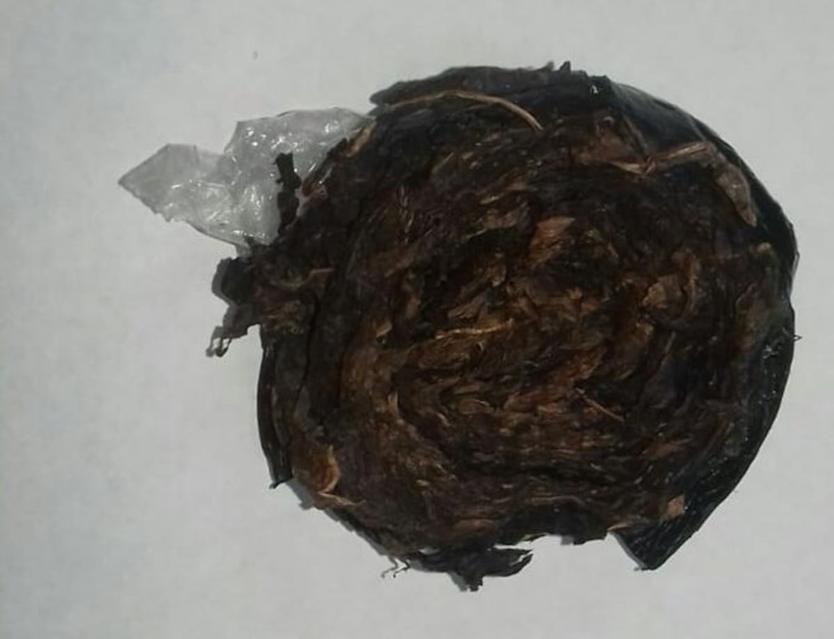 La capturan. Miren lo que mujer trató de meter en sus partes íntimas a la cárcel