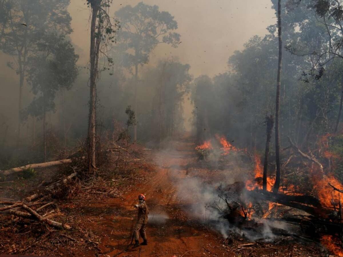 Fondo para la Amazonia permanecerá suspendido| Video 