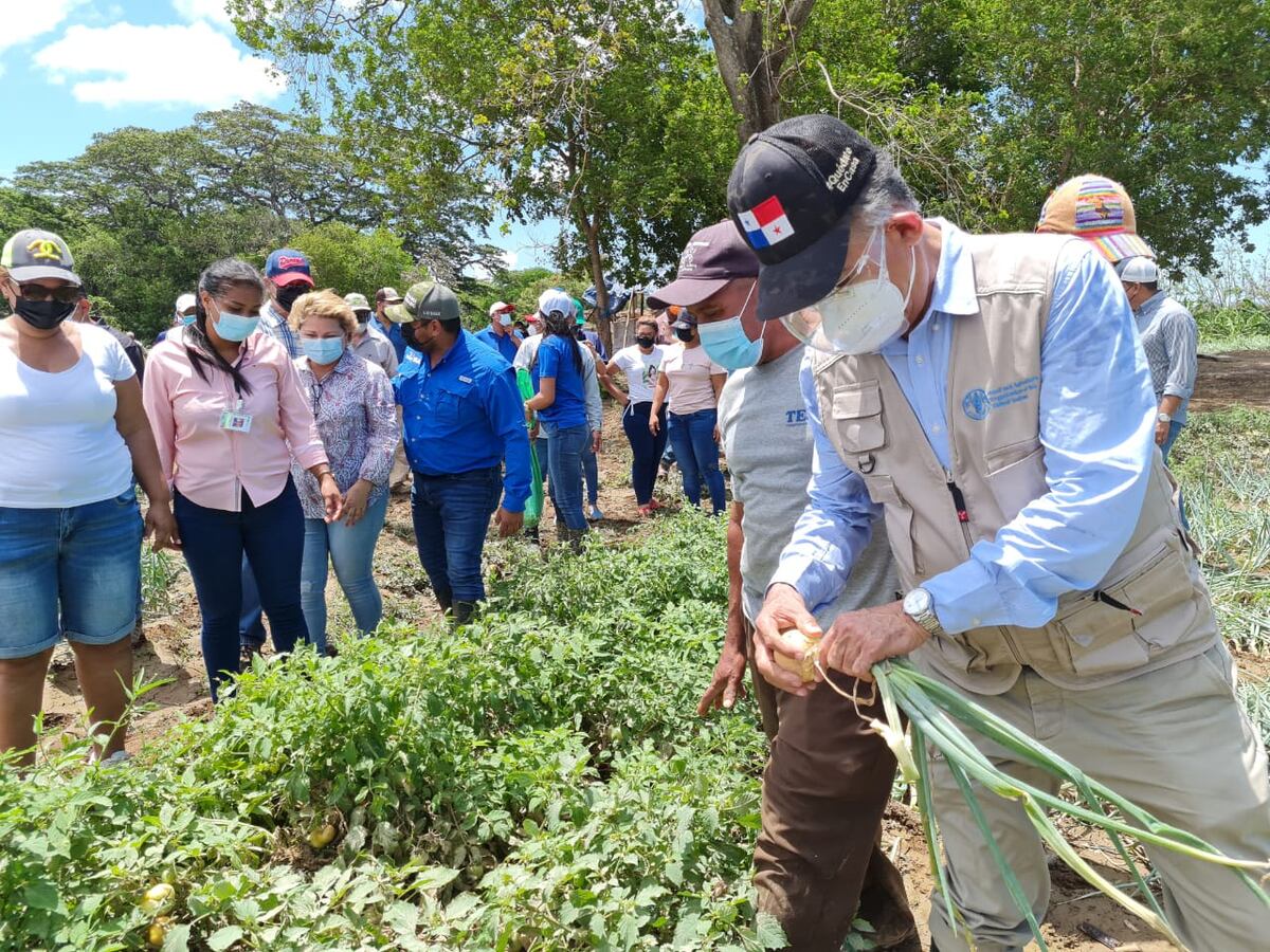 Gobierno ofrece ayuda a productores coclesanos afectados por la crecida de ríos