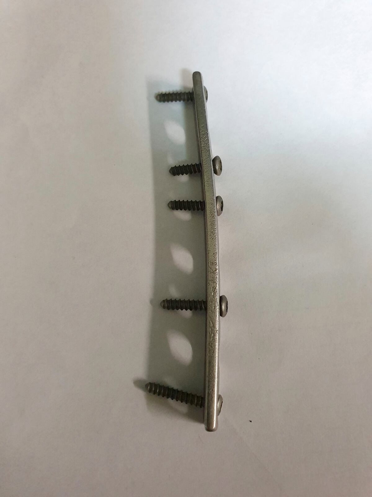 Encuentran placa ortopédica humana en estómago de cocodrilo