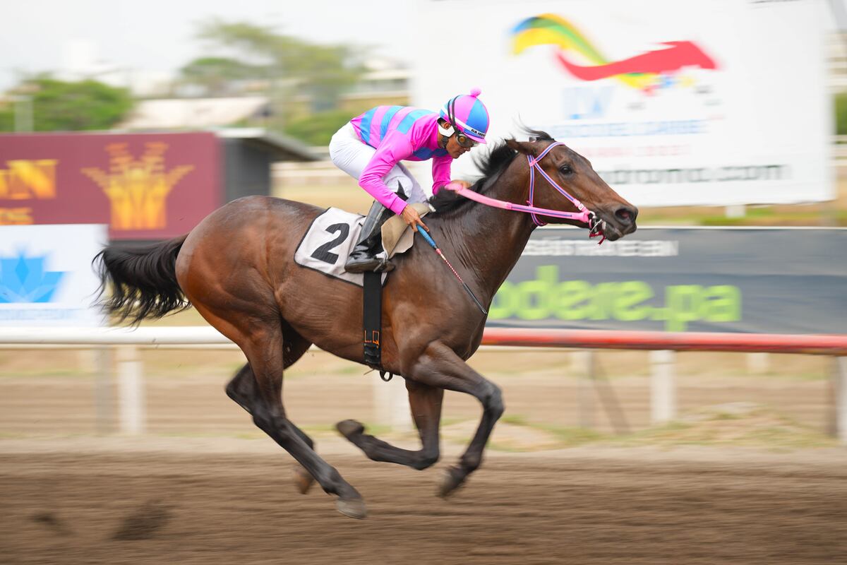 ¡Va por la revancha! ‘Panamá Happy’ vuelve a la carga por la corona presidencial este domingo