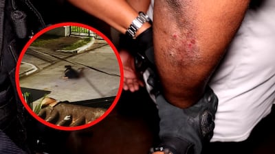 Tenía 16 años y salía de un cumpleaños: cae sospechoso por su asesinato en Don Bosco + Videos