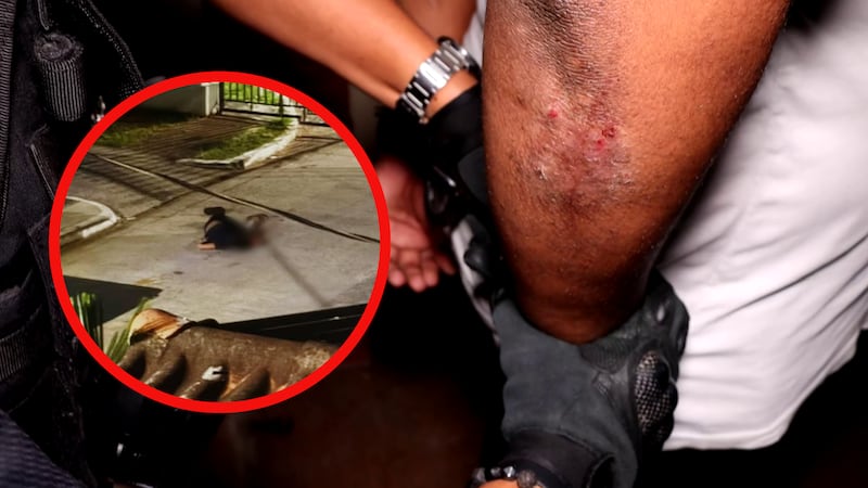 Tenía 16 años y salía de un cumpleaños: cae sospechoso por su asesinato en Don Bosco + Videos