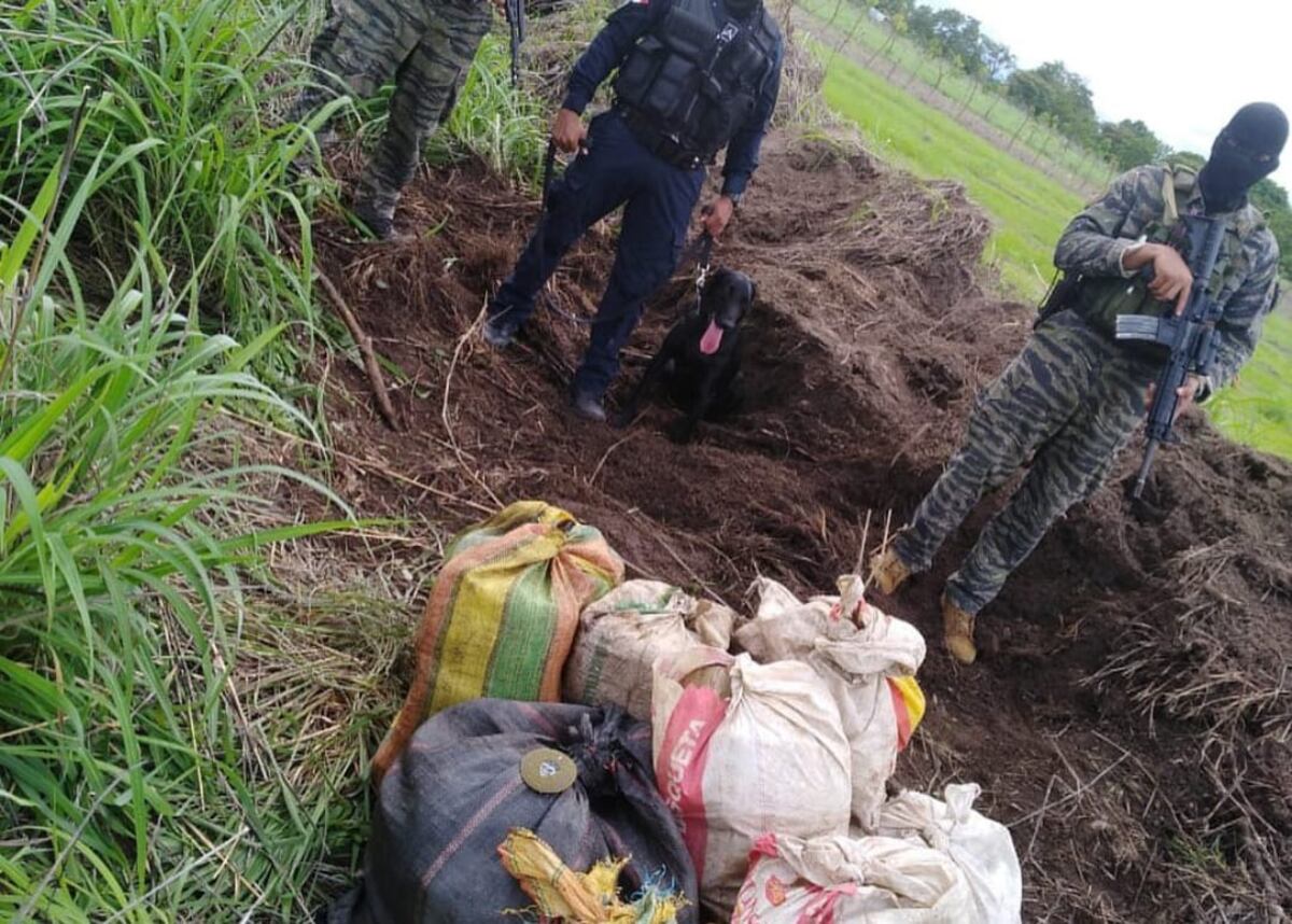 Los martes, miércoles y domingo son los días que los narcotraficantes han escogido para transportar sustancias ilícitas en Panamá