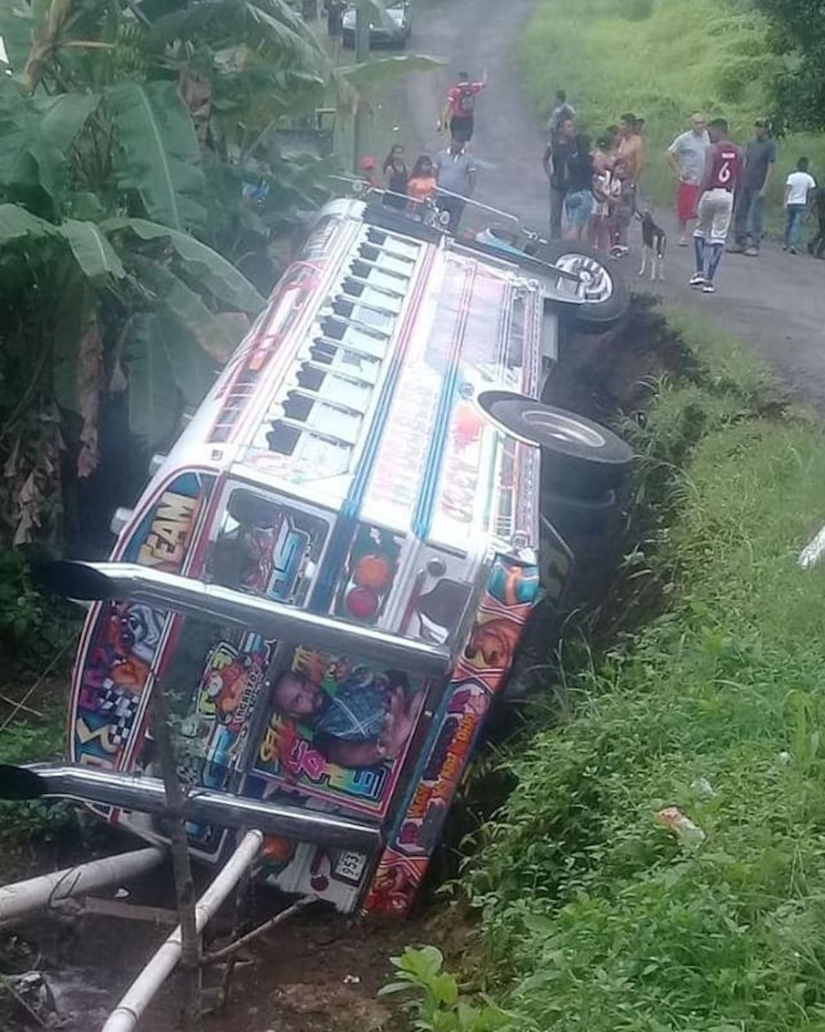Bus ‘diablo rojo’ cae a un barranco
