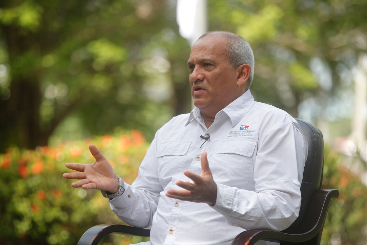 Gabinete aprueba que se cree el nuevo viceministerio de Cambio Climático