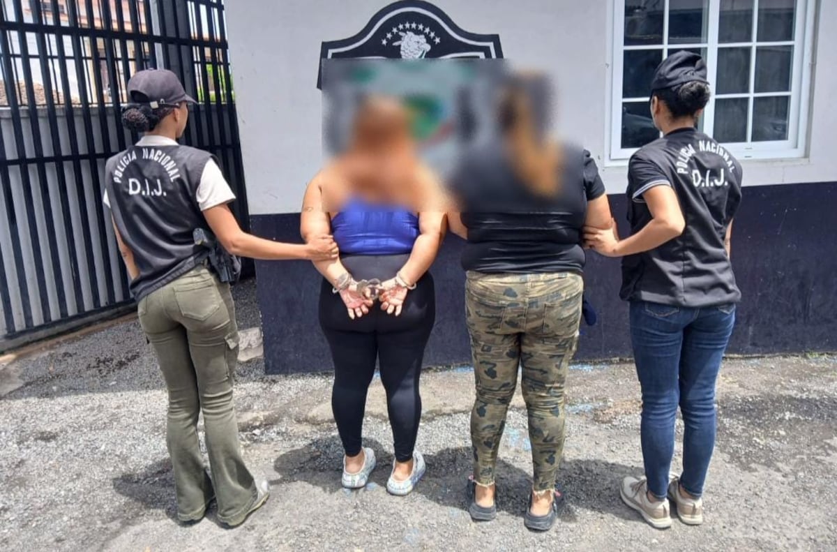 115 razones para ir presas: decomisan mercancía falsificada