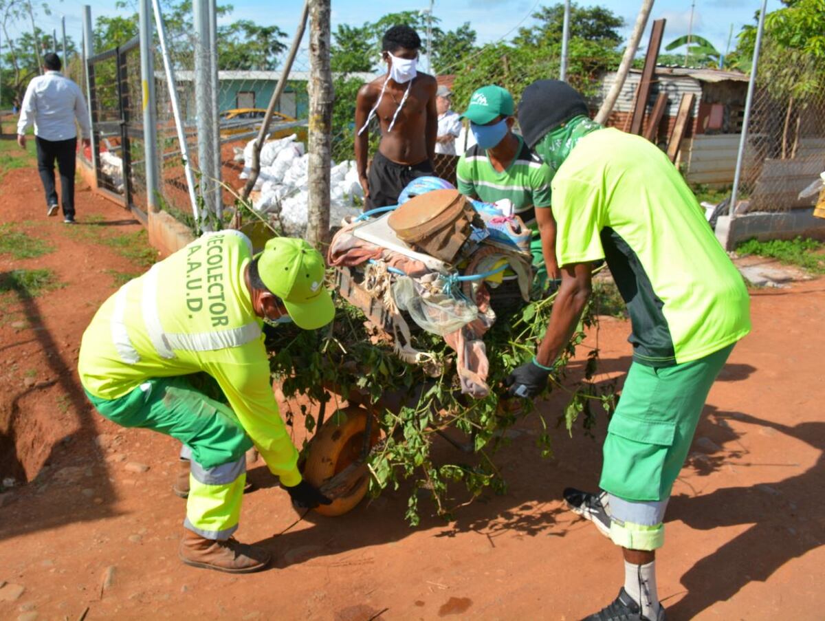 Haga sus reportes para una recolección especial de desechos al 311