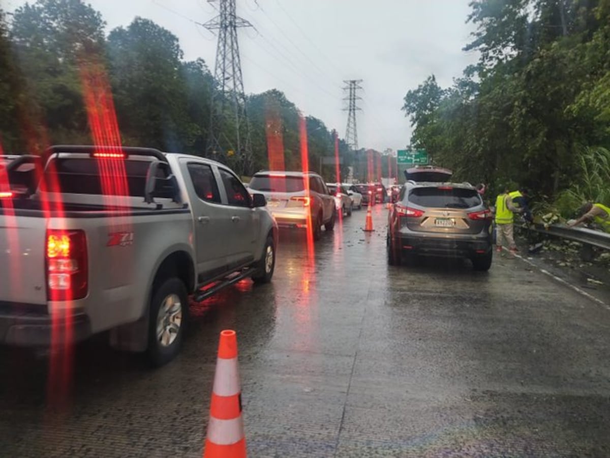 Fuertes lluvias derriban árboles en el Corredor Norte: interrupción temporal del tránsito
