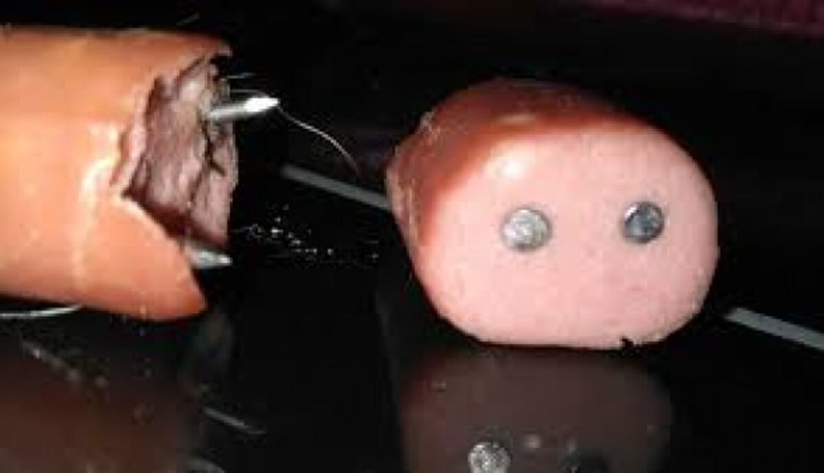 Policía alerta sobre salchichas con clavos para matar a perros