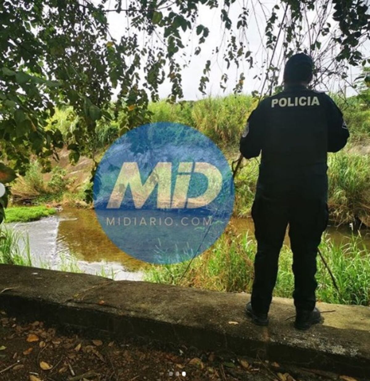 Periodista de Mi Diario descubre restos que faltaban de mujer descuartizada en Tocumen