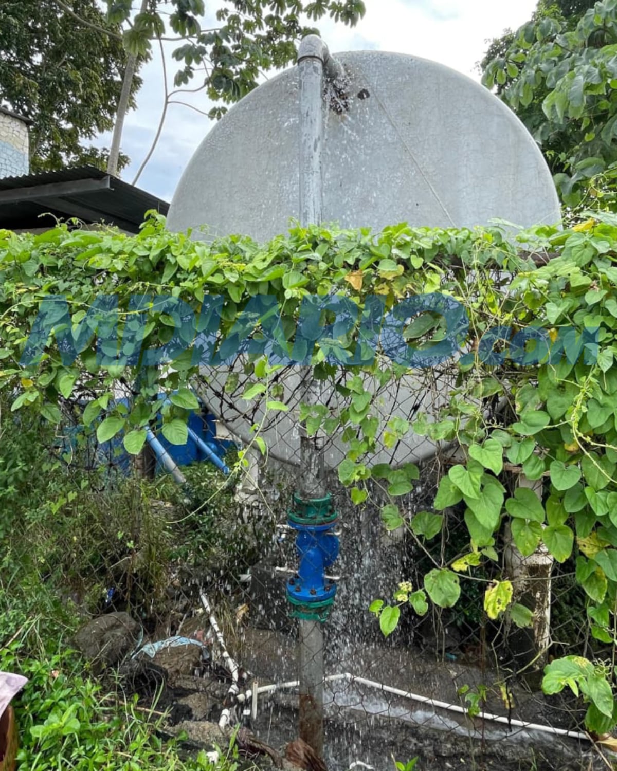 Vecinos de Samaria denuncian: ‘El agua se desperdicia mientras nosotros seguimos sin el servicio desde Año Nuevo’