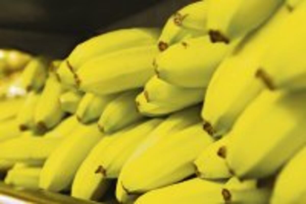 Chiquita Panamá alerta: más de 10 millones en pérdidas por paro en fincas bananeras