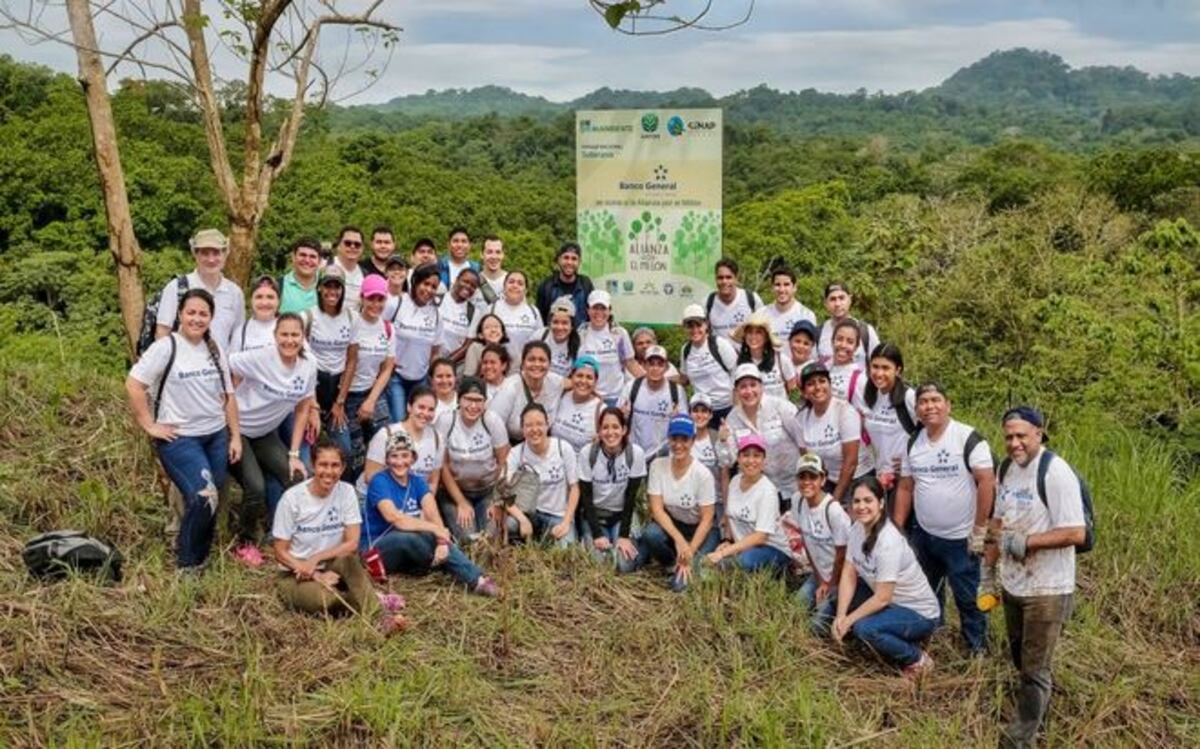 Todos a apoyar. Conoce las ventajas de ser voluntario 