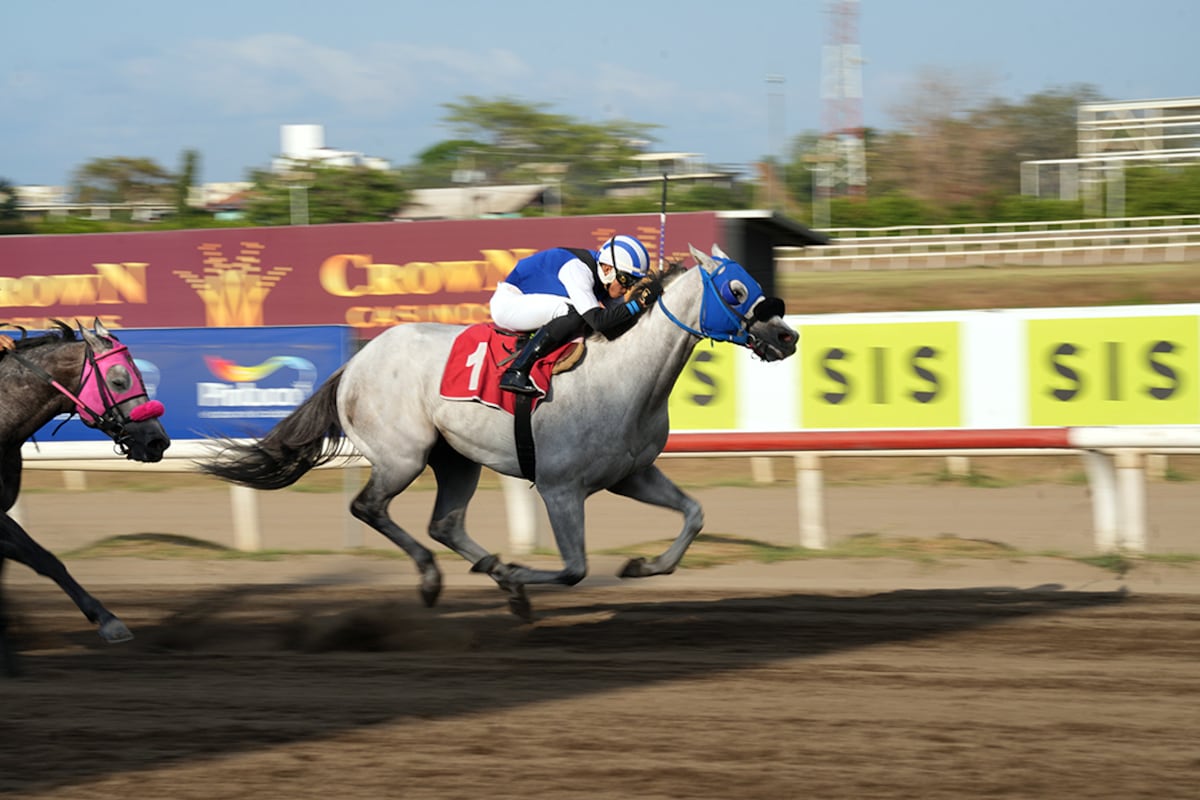 ‘Shine The Light’ se impuso  en clásico a los Endara