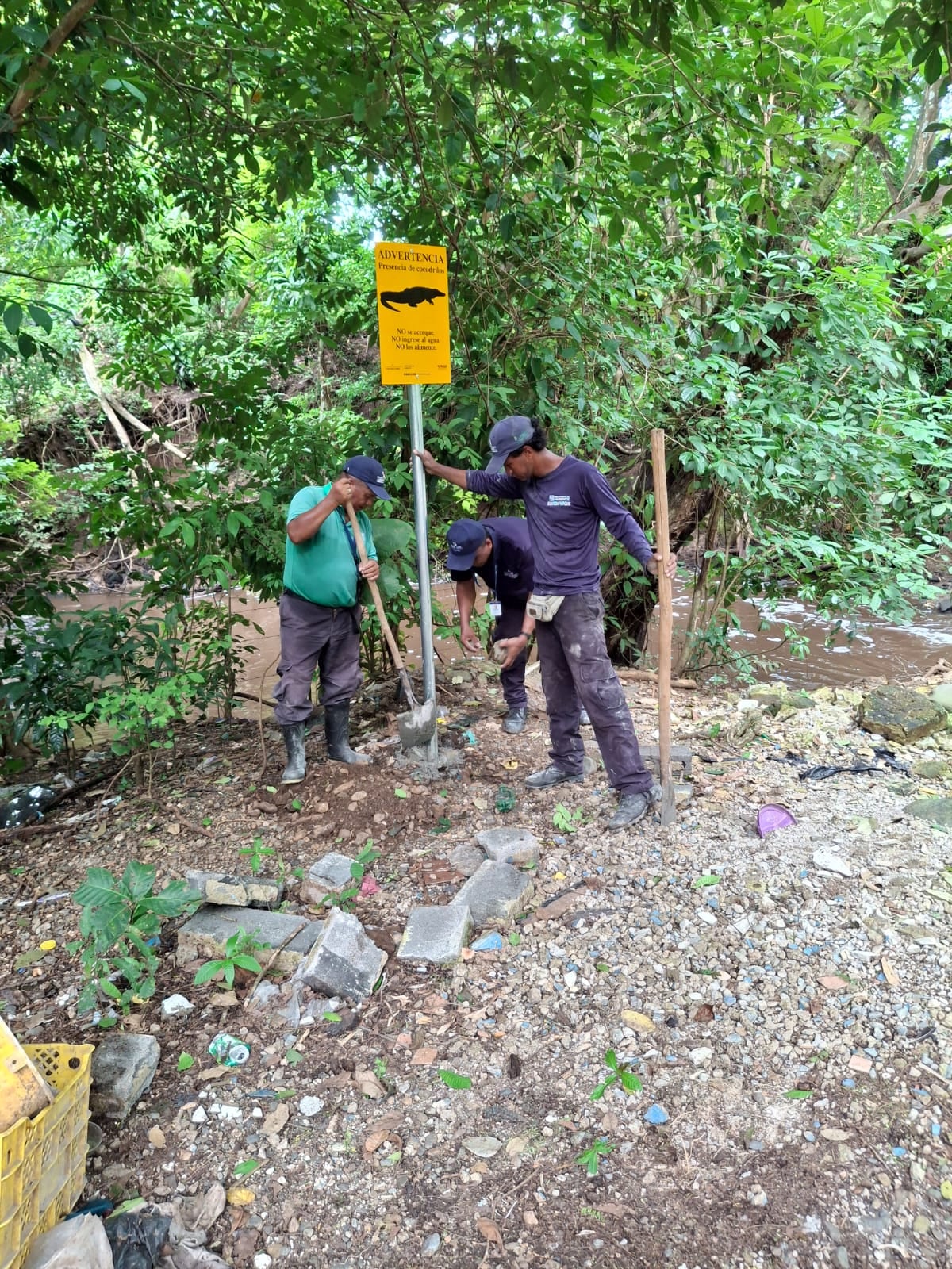 ¡Cuidado con los cocodrilos en tu barrio! MiAMBIENTE pone letreros de alerta en zonas peligrosas