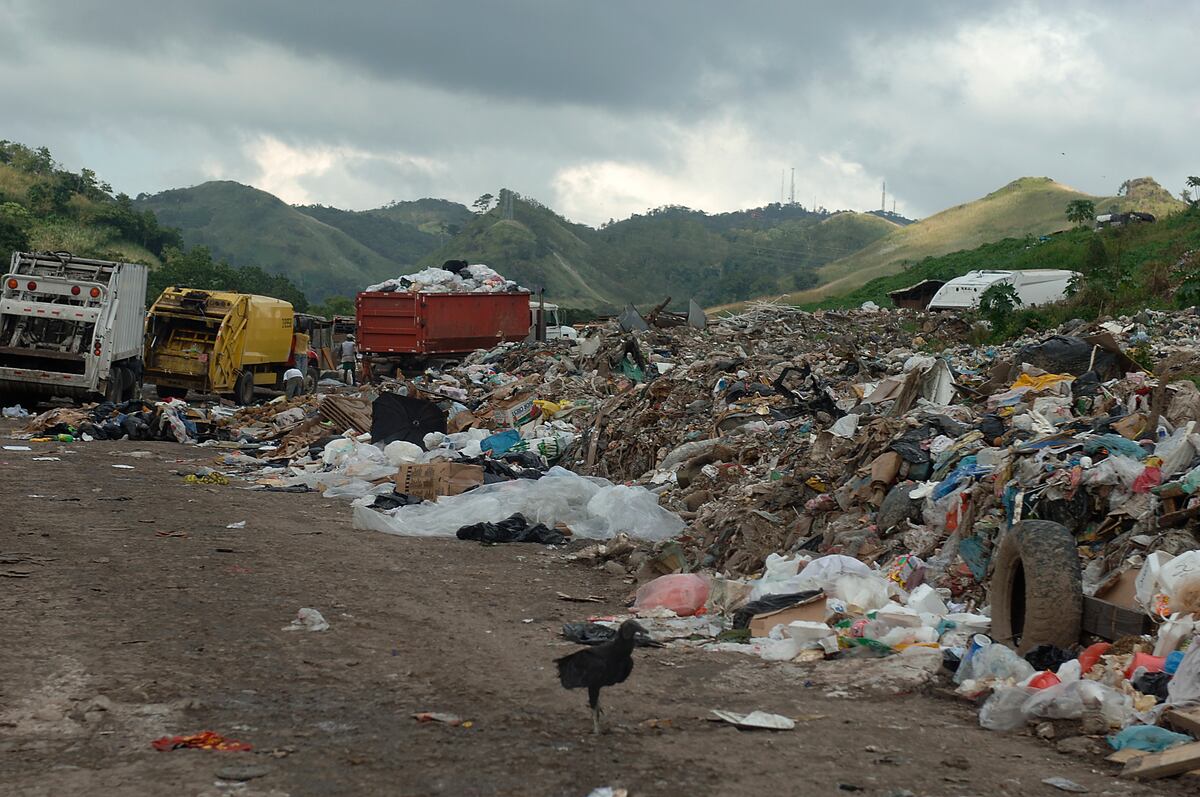 Pepenadores se llevan mercancía que estaba siendo descartada por Aduanas en Cerro Patacón