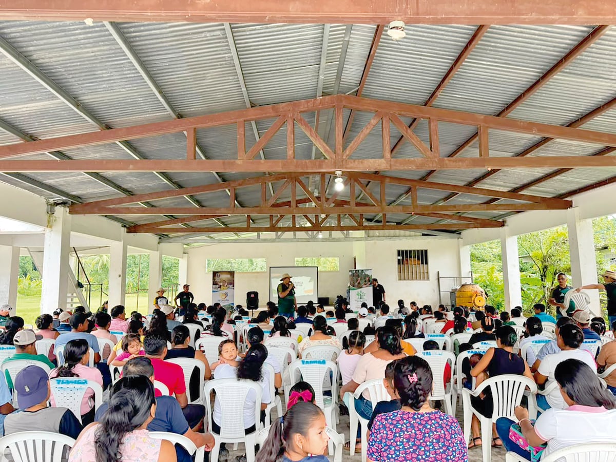 Cobre Panamá y FEDHUPA ya siembran el futuro de más de 1,000 estudiantes panameños