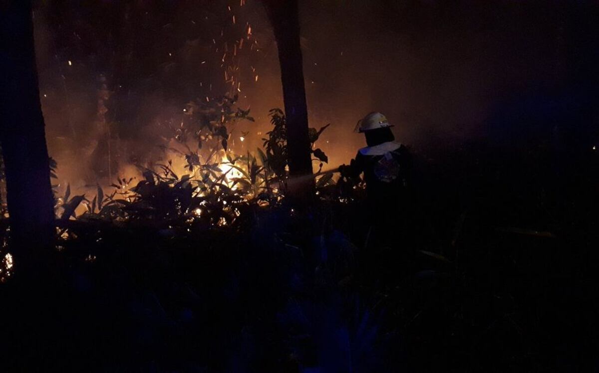 ¡FUEGO, FUEGO! Incendio forestal se toma Cerro Azul