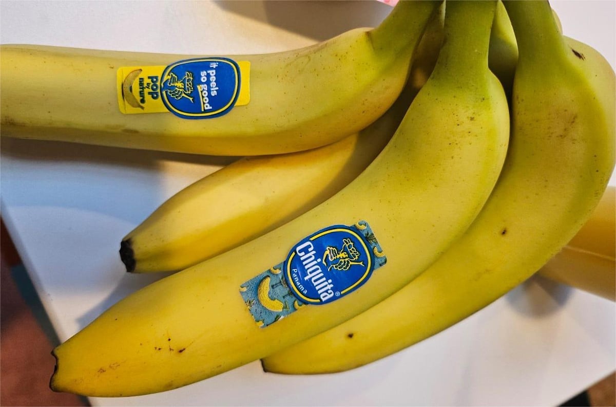 Chiquita Panamá bota a todos sus jornaleros tras 24 días de huelga en Bocas