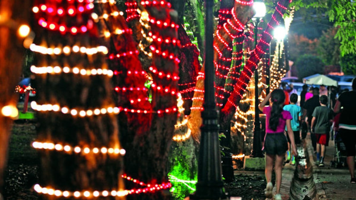 No se lo pierda. Encendido de luces navideñas en el Parque Omar será el lunes