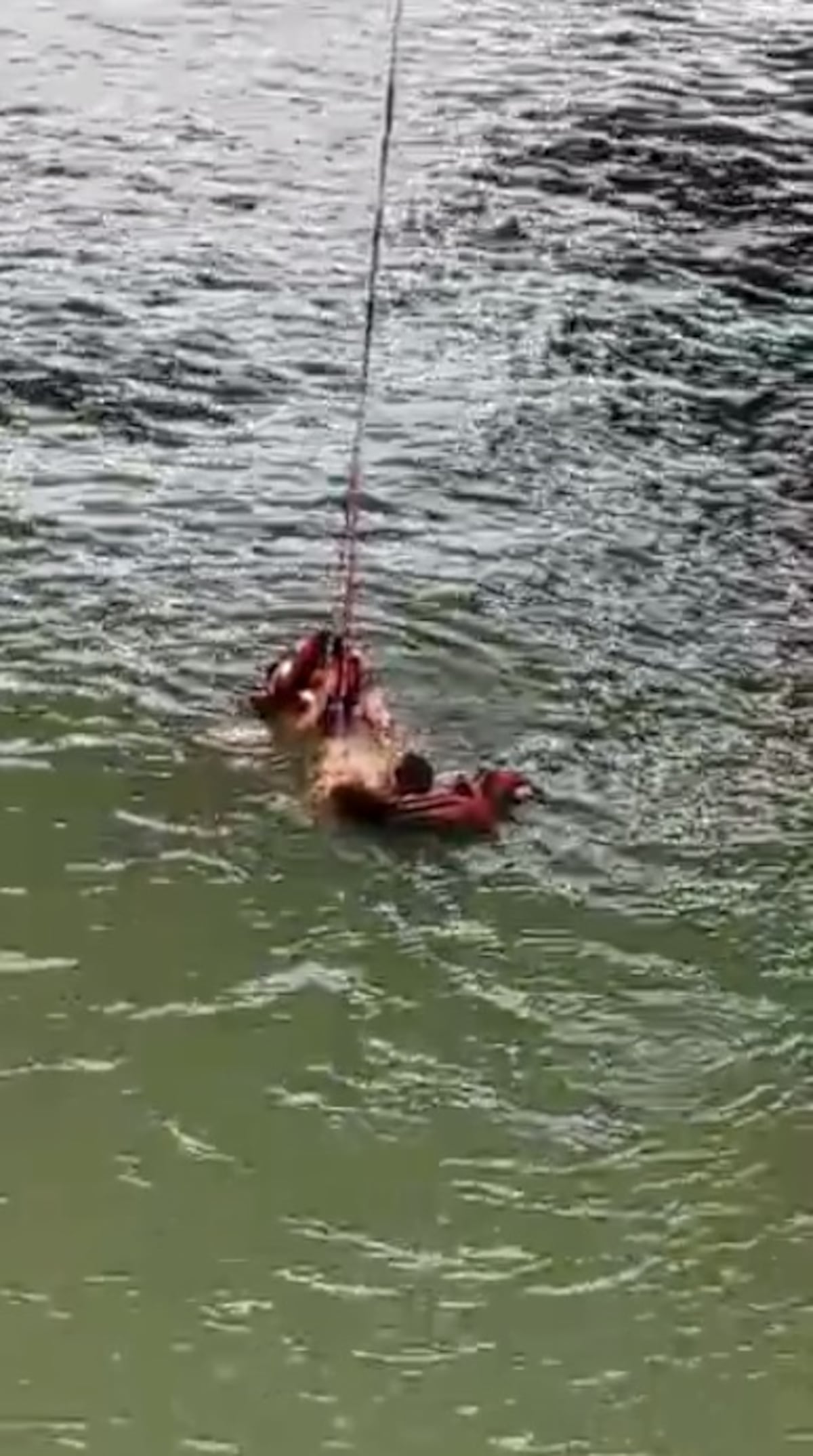 Captan momento en que SPI se quita la ropa y se lanza a salvar a una persona en tramo marino de Cinta Costera3. Video