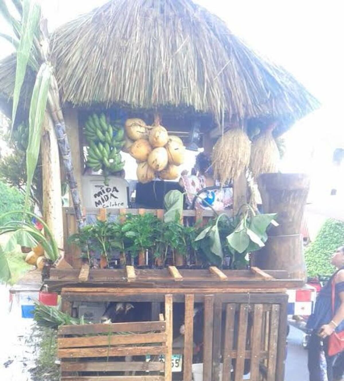 Sonaeños participan en desfile de la pollera, el tamborito y carretas