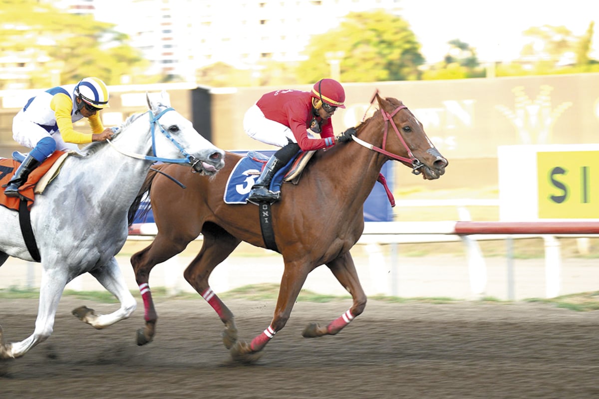 Gran tarde sabatina familiar en el Hipódromo Presidente Remón