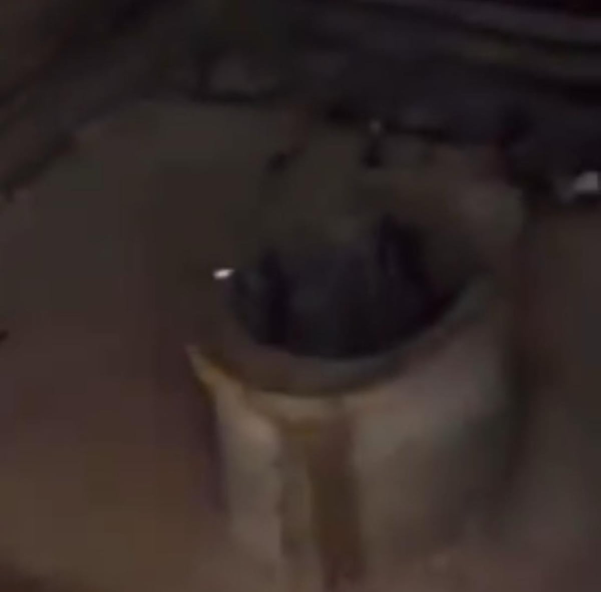 Niños en la comarca estudian con lo justo: esta es la cruda realidad en Quebrada Cogollo