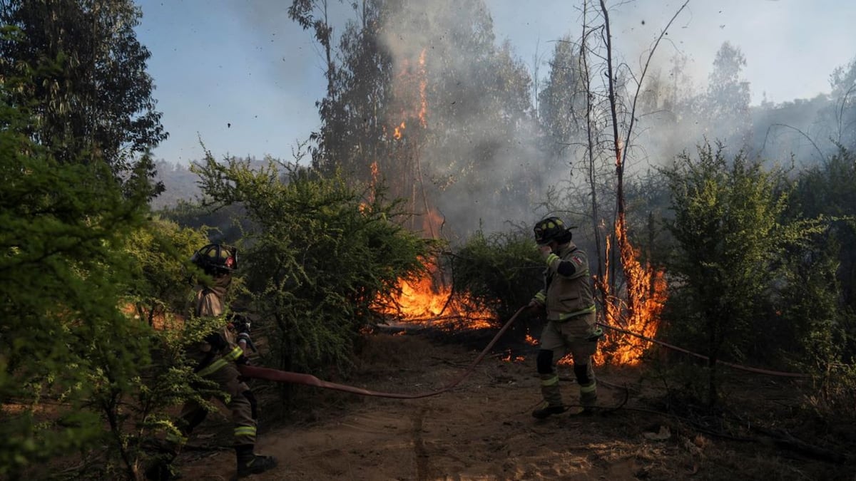 Incendios forestales en Chile dejan al menos 16 muertos y obligan a decretar estado de catástrofe