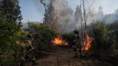 Incendios forestales en Chile dejan al menos 16 muertos y obligan a decretar estado de catástrofe