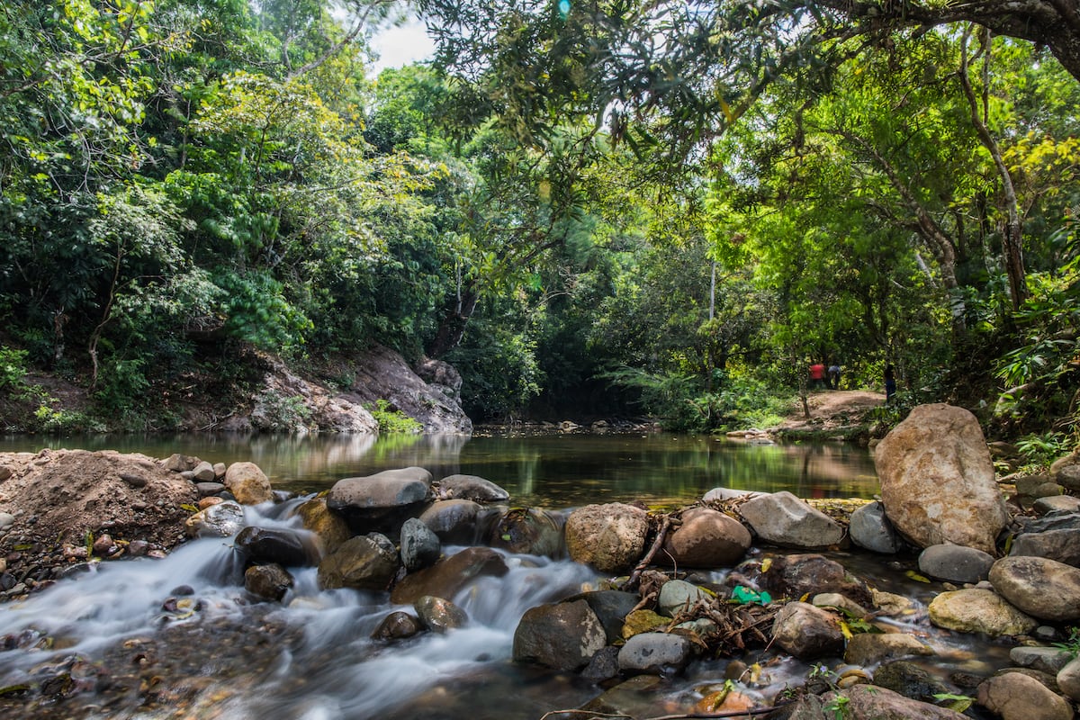 Panamá en alerta por fuertes lluvias: Mi Ambiente cierra áreas protegidas para proteger a visitantes