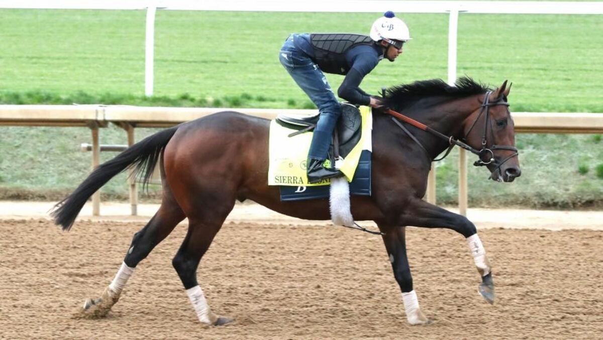 Sierra Leona lidera las apuestas para el Belmont Stakes 2024 