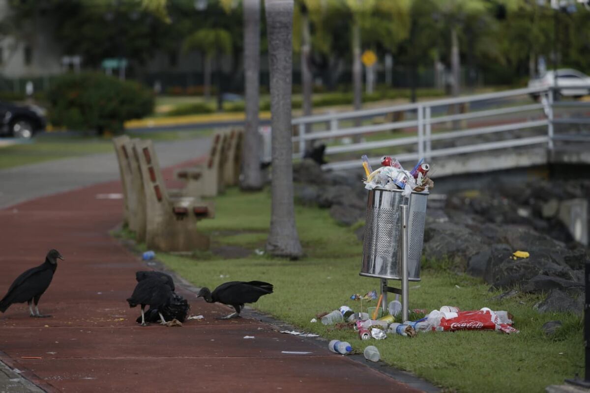 AAUD realiza jornada de limpieza en la Calzada de Amador y pide a la ciudadanía depositar los desechos en su lugar