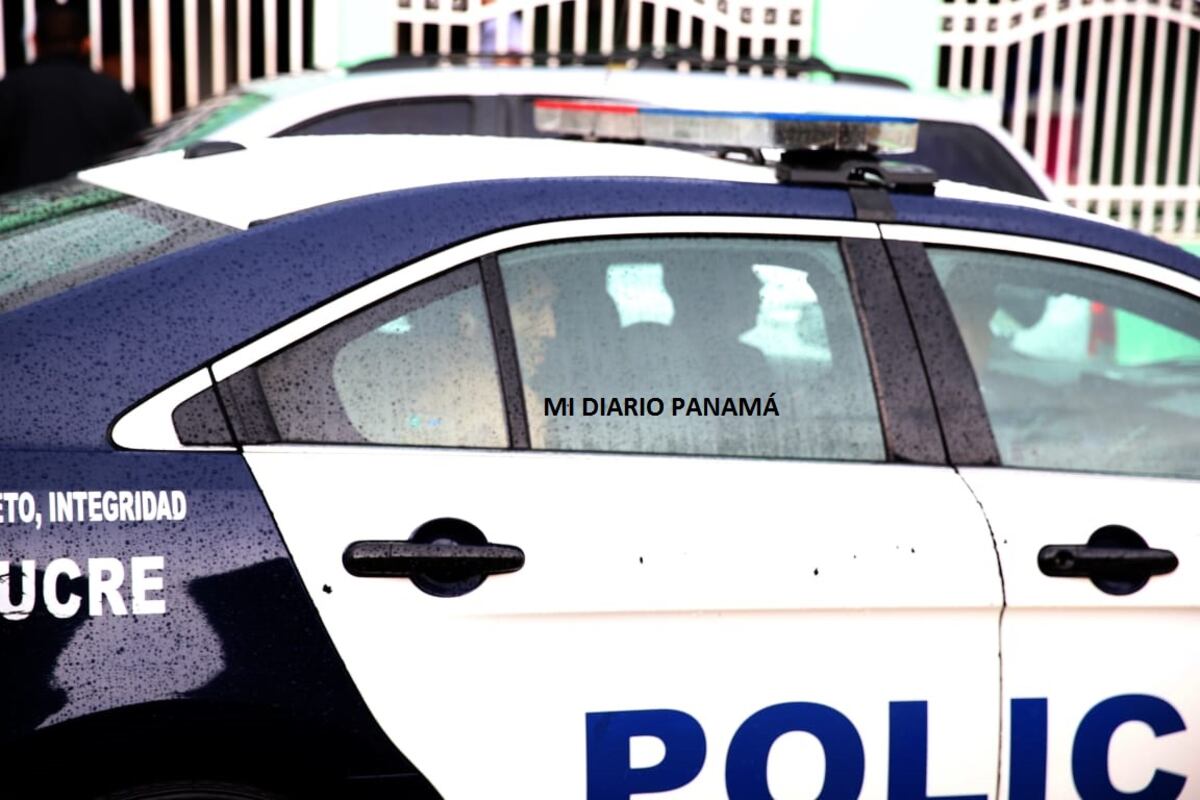 Mi Diario capta el momento en el que presunto decapitador es capturado por la policía. Video