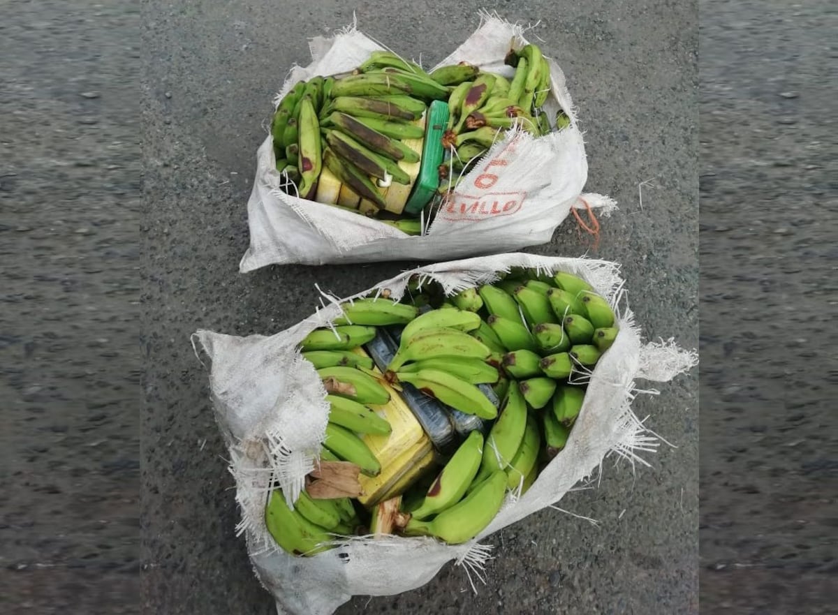 Llevaban droga en saco de plátanos