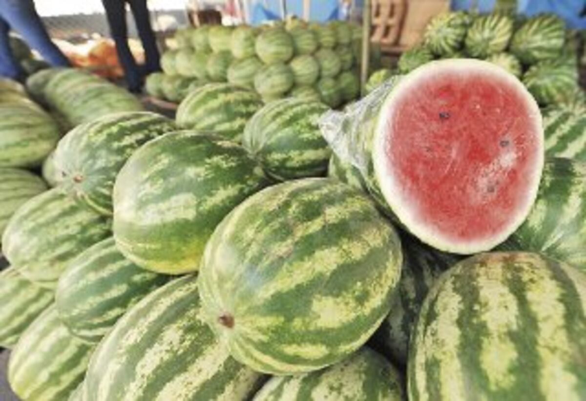 Sandía panameña está en Países Bajos, entra entre los 10 productos 
