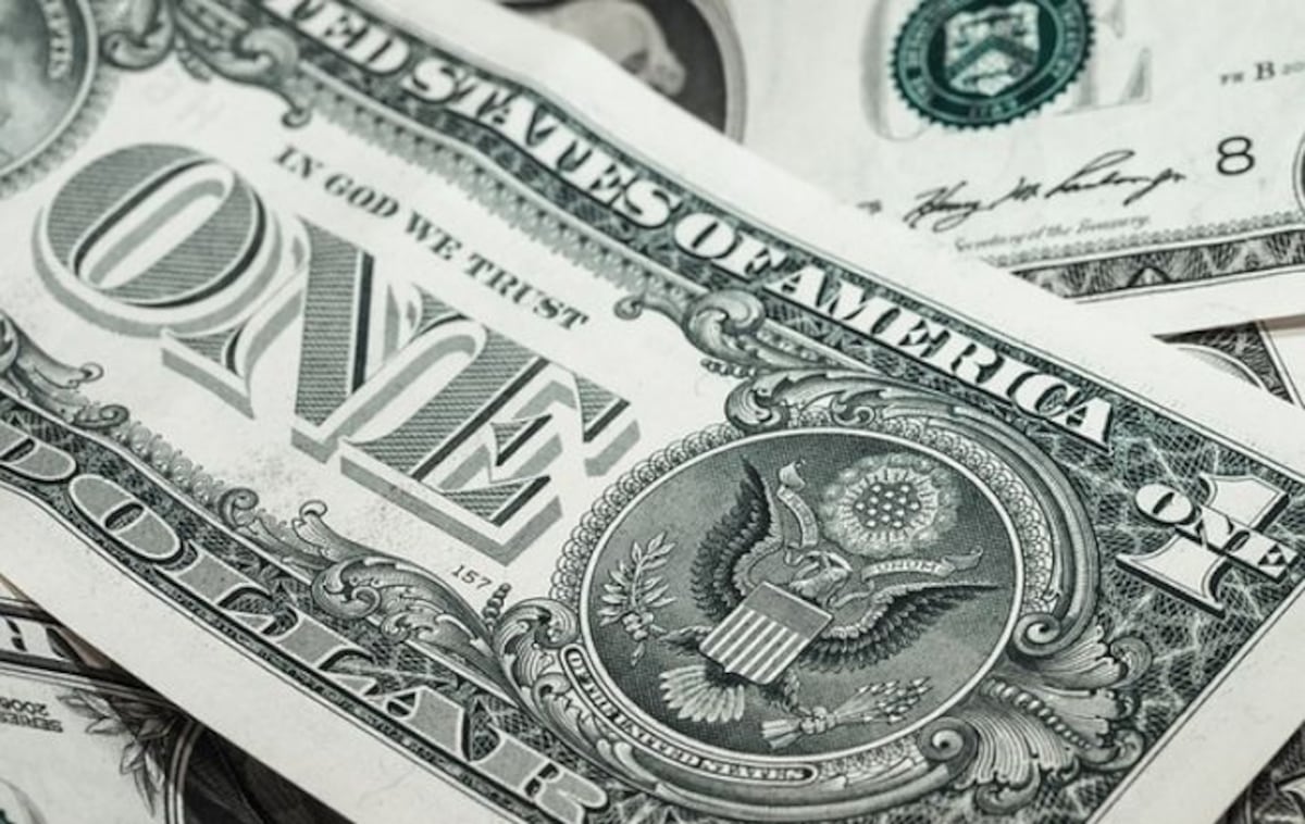 ¡Ups! Tritura mil dólares porque pensó que eran papeles viejos