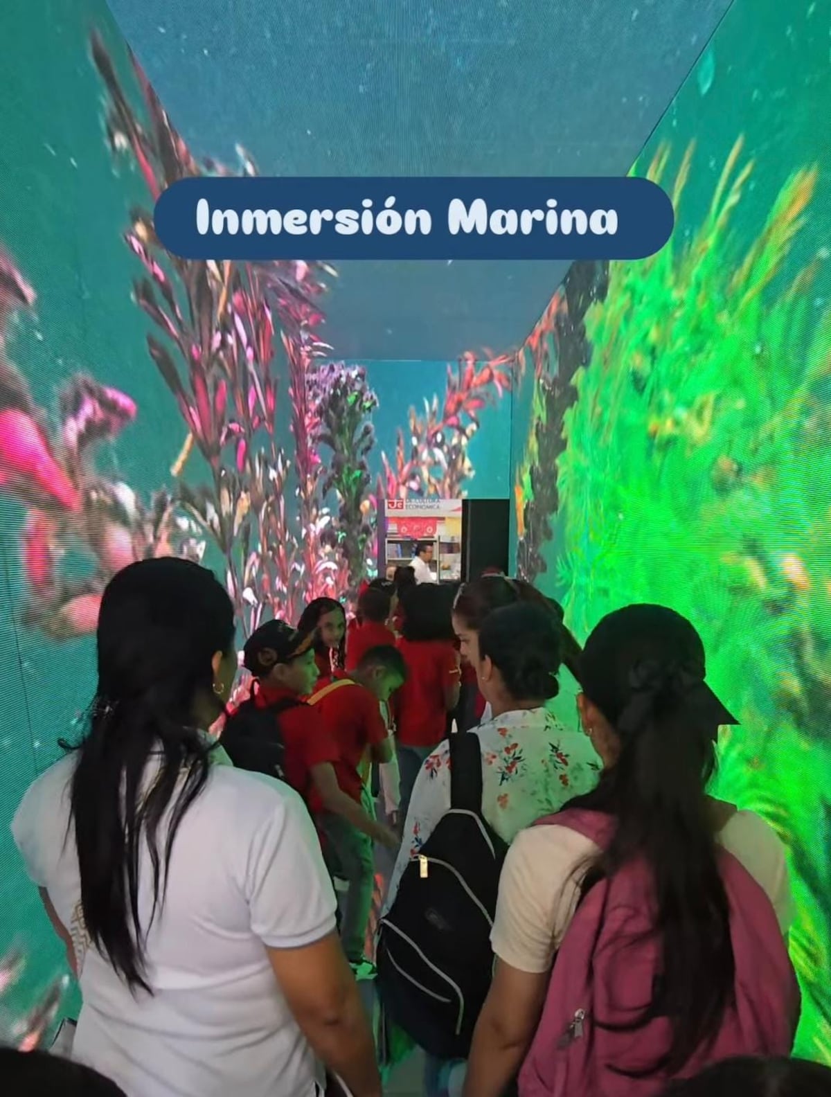 ¡Hay de todo! Música, libros desde $1, talleres, conversatorios y experiencias inmersivas se toman la Feria del Libro