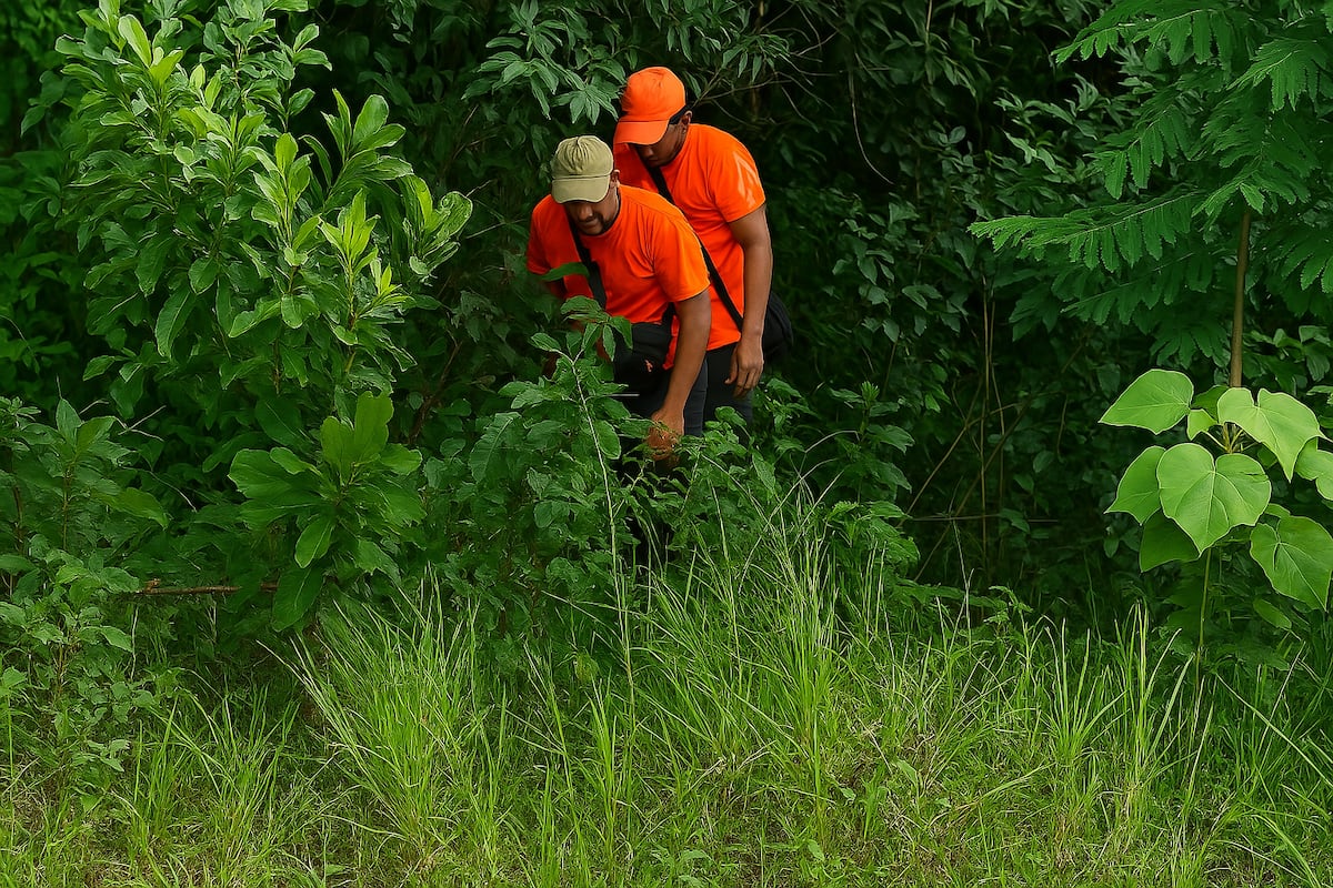 Salió a cortar pencas para Semana Santa y no regresó: sigue la búsqueda en los montes de Arraiján