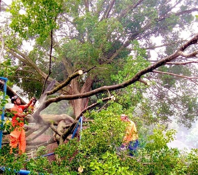 Lluvias dejan árboles caídos e inundaciones leves en varias provincias; SINAPROC mantiene vigilancia