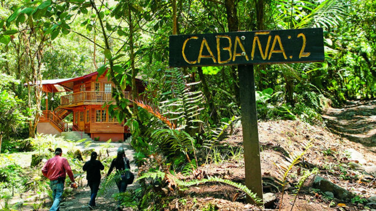 Reglamentan ley que incentiva la inversión turística