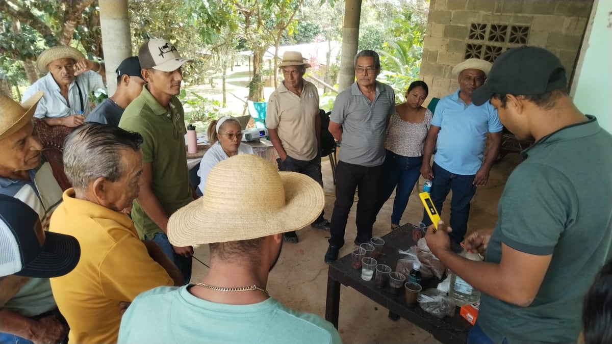 El MIDA capacita a productores de poroto en Coclé y destaca la calidad agrícola de Herrera