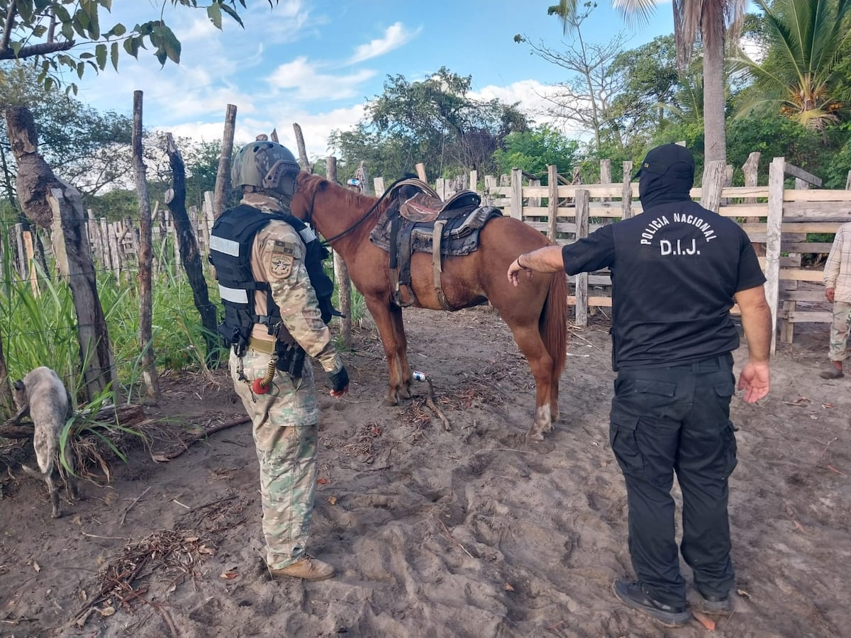 Le robaba caballos a productores y lo agarran escondido en Isla Sevilla, Chiriquí